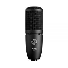 AKG/爱科技 P120大振膜电容麦克风